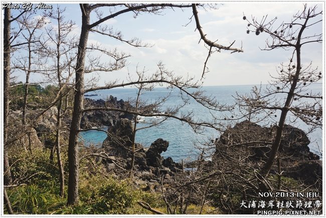 【濟州島景點】西歸浦 中文觀光區 大浦海岸柱狀節理帶火山岩