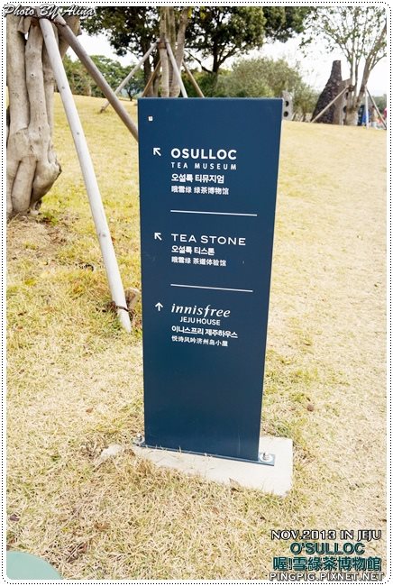 【濟州島景點】OSULLOC 雪綠茶博物館-李敏鎬潤娥innisfree廣告景點