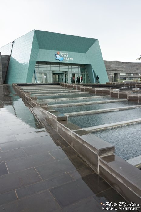 濟洲水上星球水族館