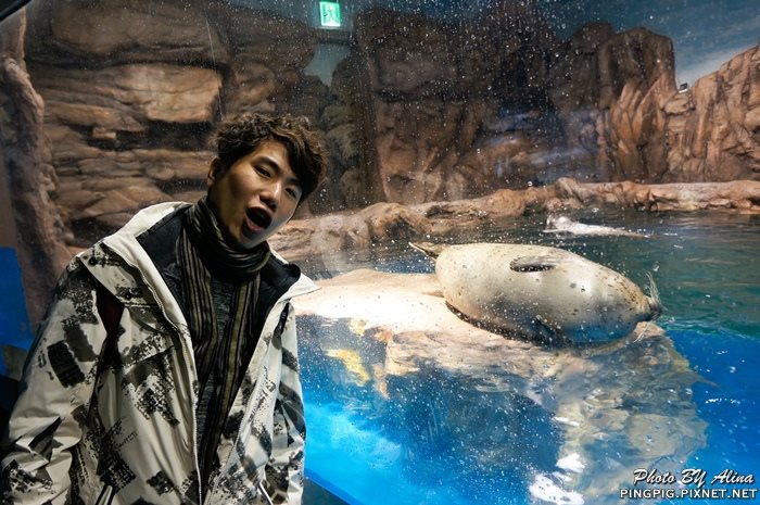 濟洲水上星球水族館