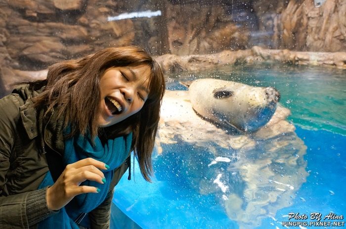 濟洲水上星球水族館