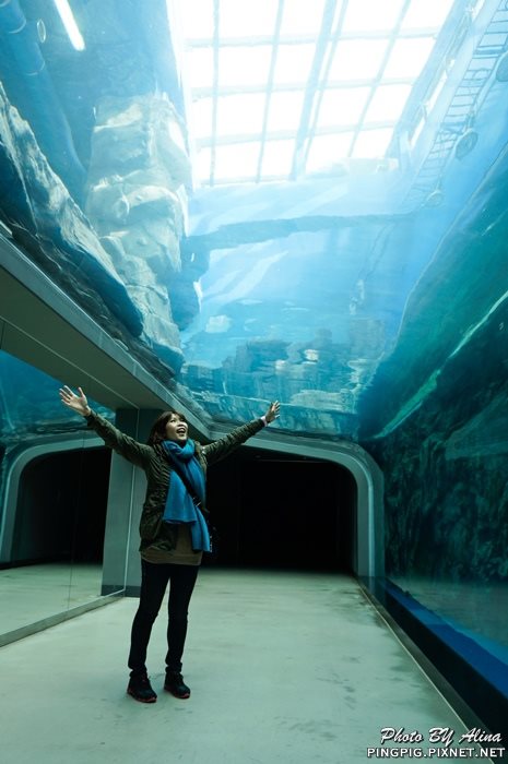 【濟州島景點】濟洲水上星球水族館 Aqua Planet JEJU 아쿠아플라넷