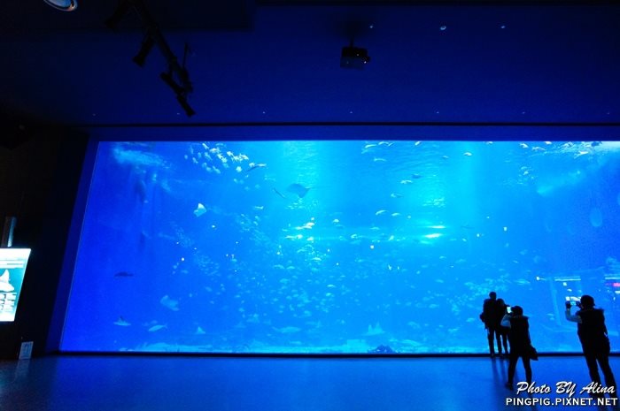 濟洲水上星球水族館