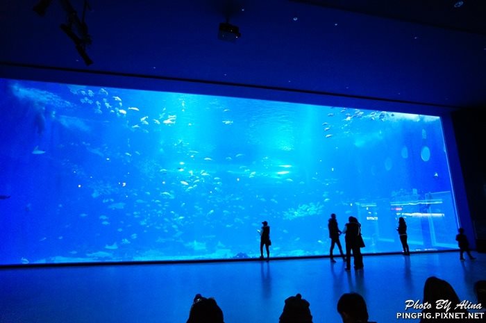 濟洲水上星球水族館