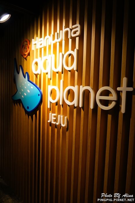 【濟州島景點】濟洲水上星球水族館 Aqua Planet JEJU 就在涉地可支