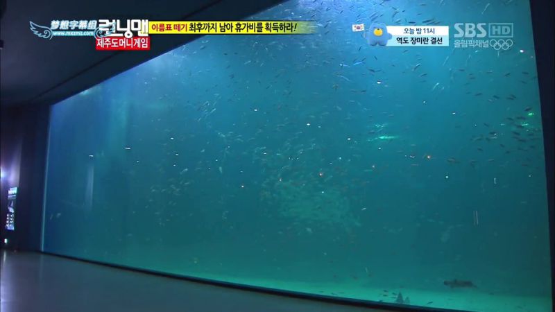 【濟州島景點】濟洲水上星球水族館 Aqua Planet JEJU 아쿠아플라넷