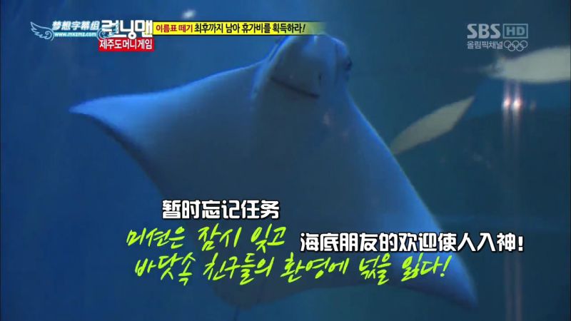 【濟州島景點】濟洲水上星球水族館 Aqua Planet JEJU 아쿠아플라넷