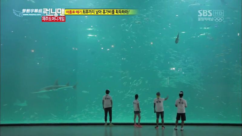 【濟州島景點】濟洲水上星球水族館 Aqua Planet JEJU 아쿠아플라넷