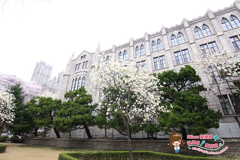 慶熙大學