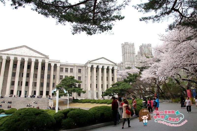 慶熙大學
