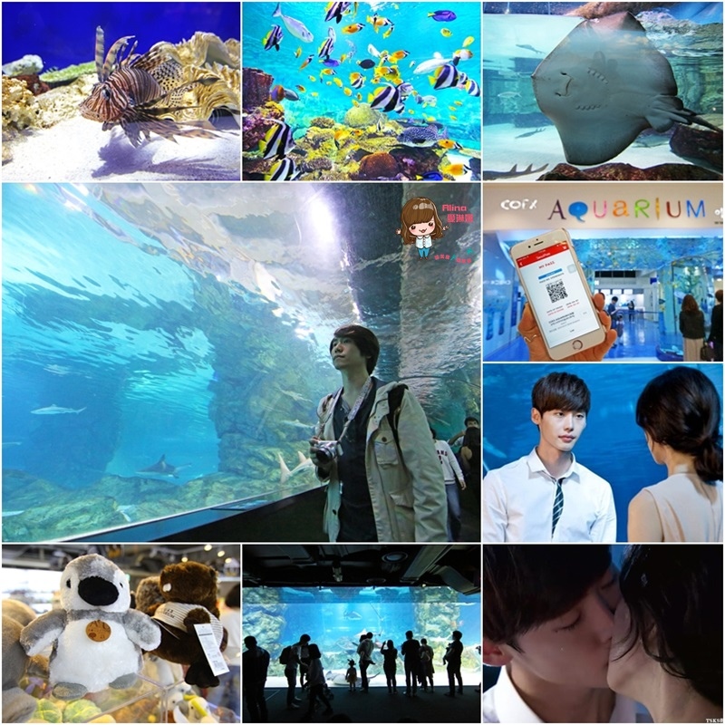 【首爾景點】三成 COEX水族館 AQUARIUM-韓劇聽見你的聲音