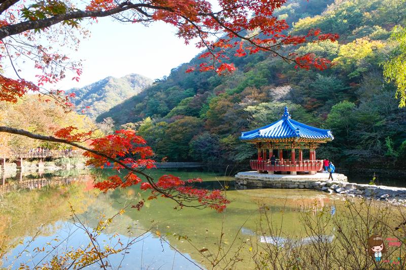 【韓國景點】全羅南道 內藏山賞楓-瑰麗火紅楓葉美景 一日遊交通推薦