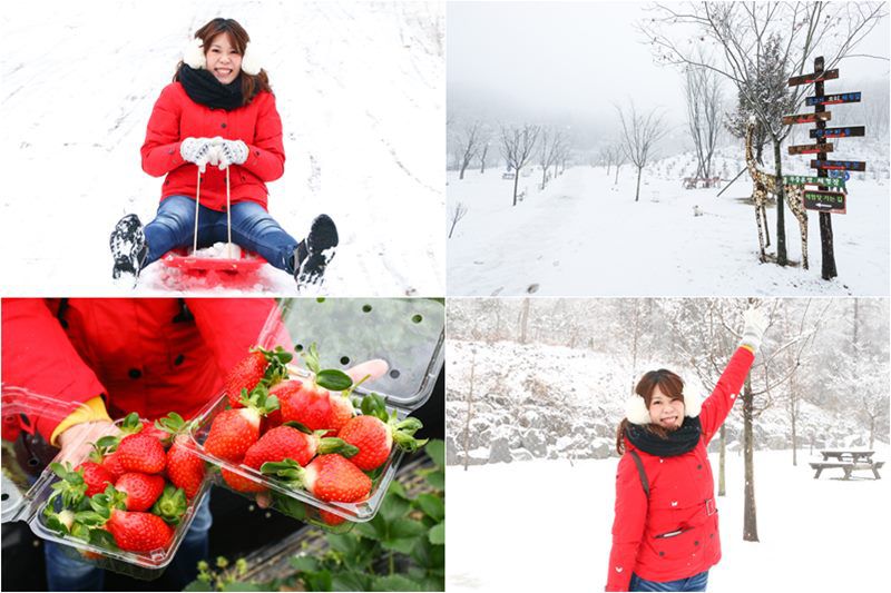韓國玩雪