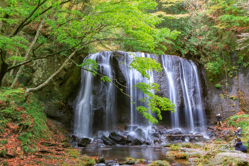 東北福島景點 達澤不動瀑布