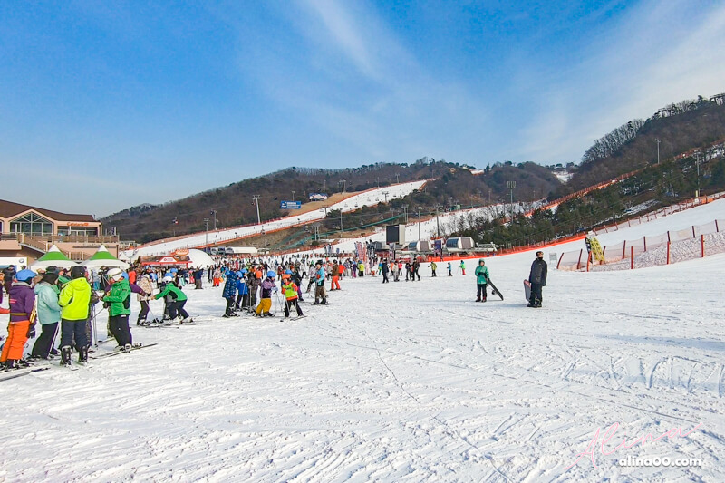 韓國江原道洪川大明滑雪場