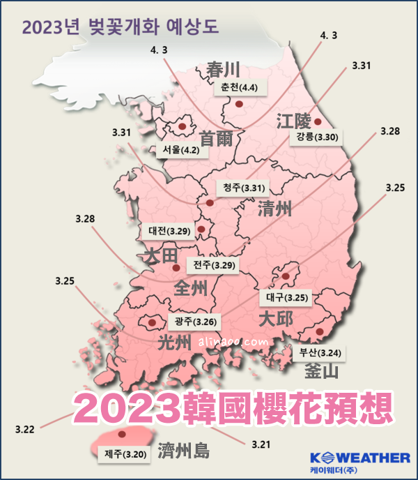 2023 韓國櫻花開花預測 首爾櫻花