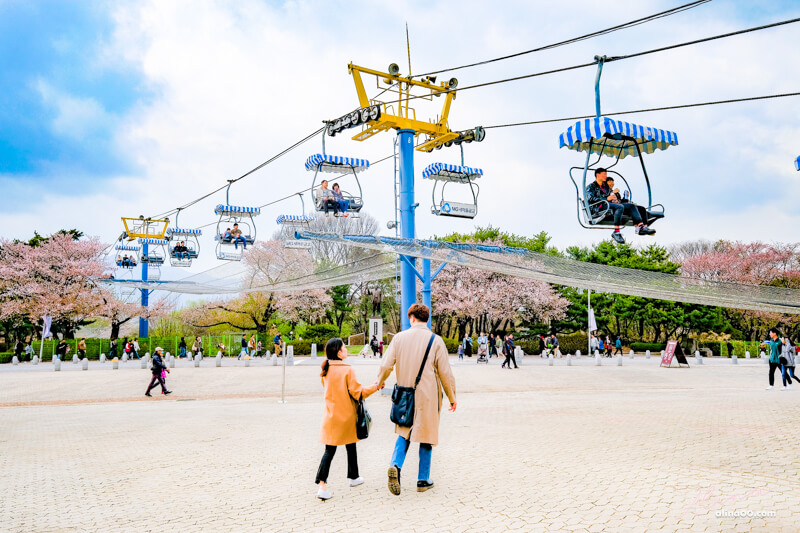 首爾大公園纜車