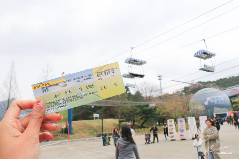 首爾大公園天空纜車門票