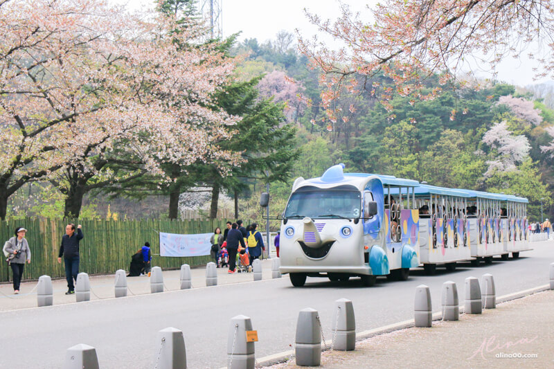 首爾大公園 遊園大象列車