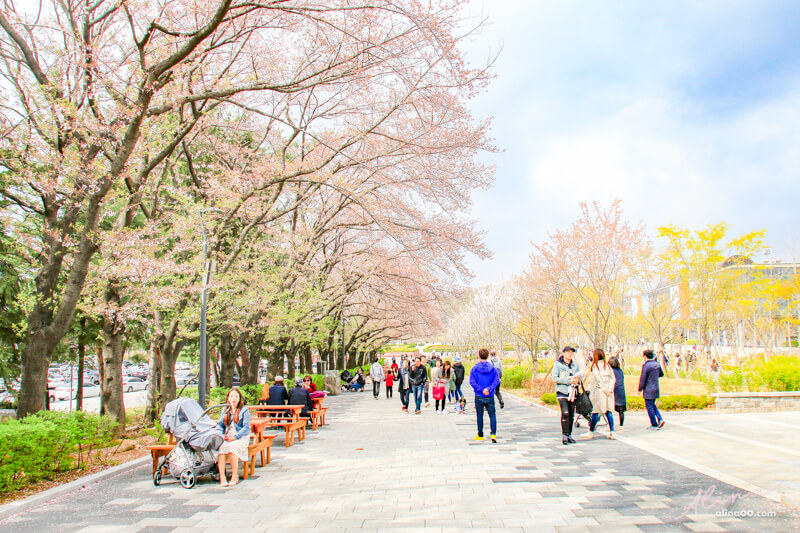 首爾大公園