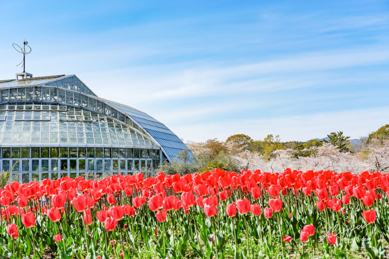 京都府立植物園