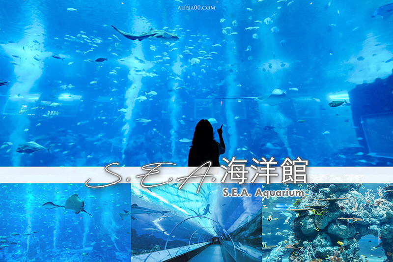【新加坡景點】 S.E.A.海洋館-門票優惠購｜巨大水族箱深海奇境之美