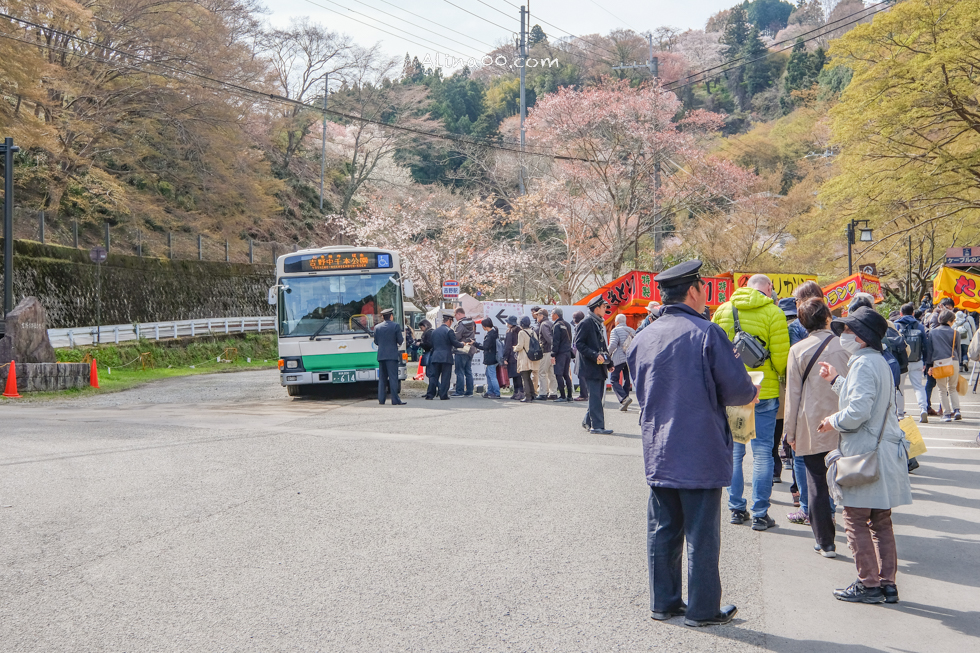 吉野山交通車