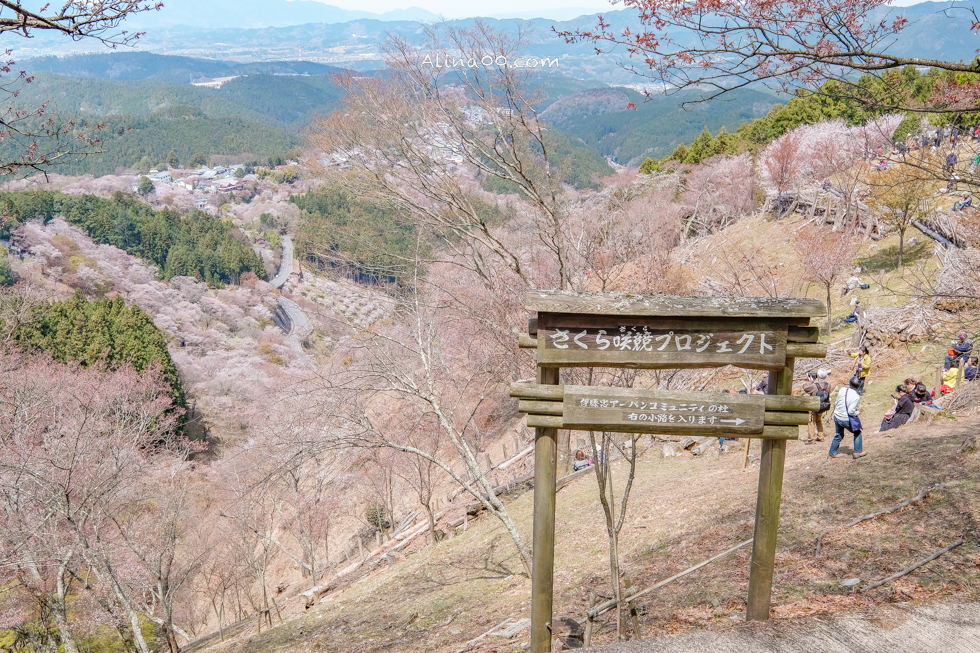 吉野山