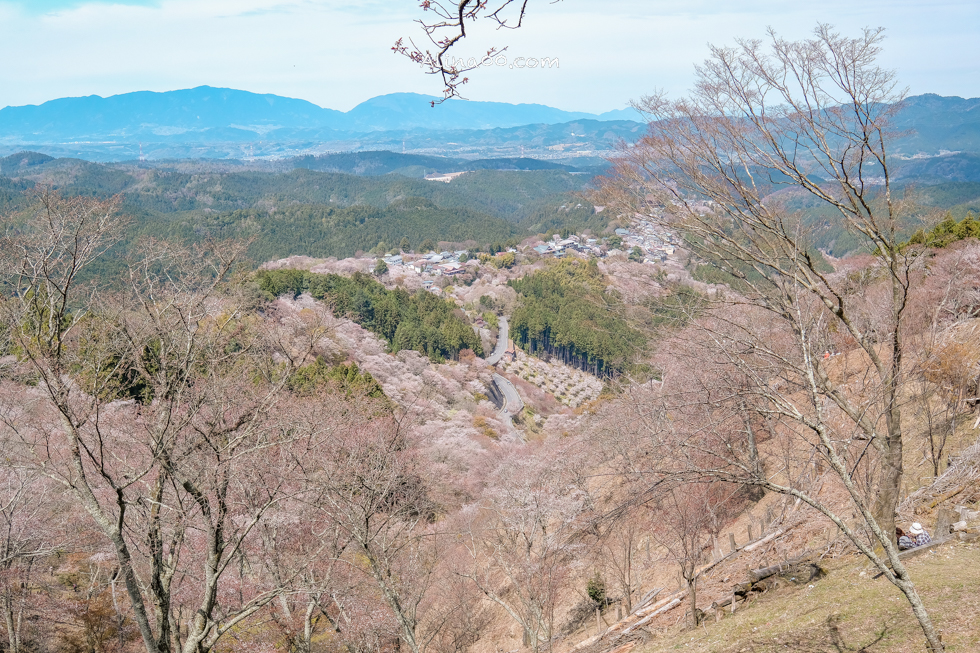 吉野山