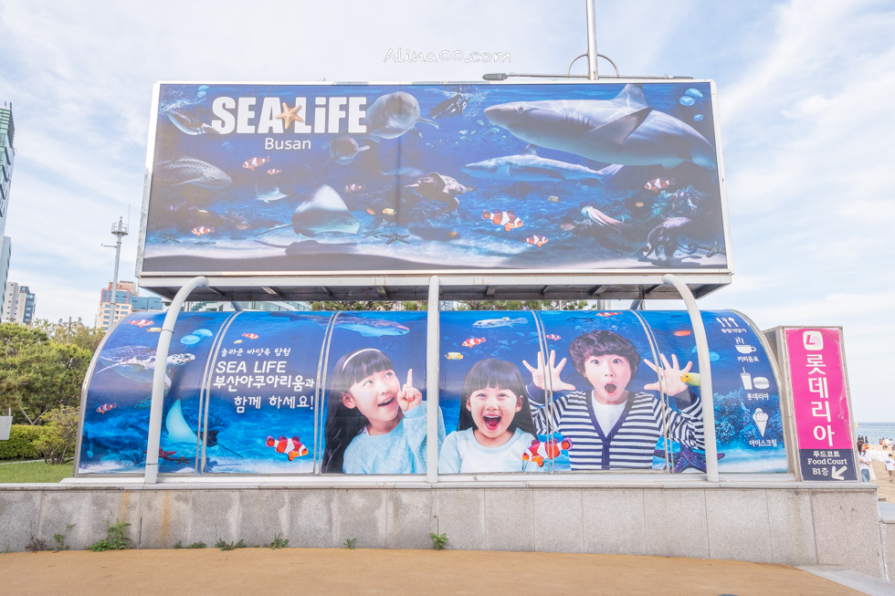 釜山水族館 SEA LIFE