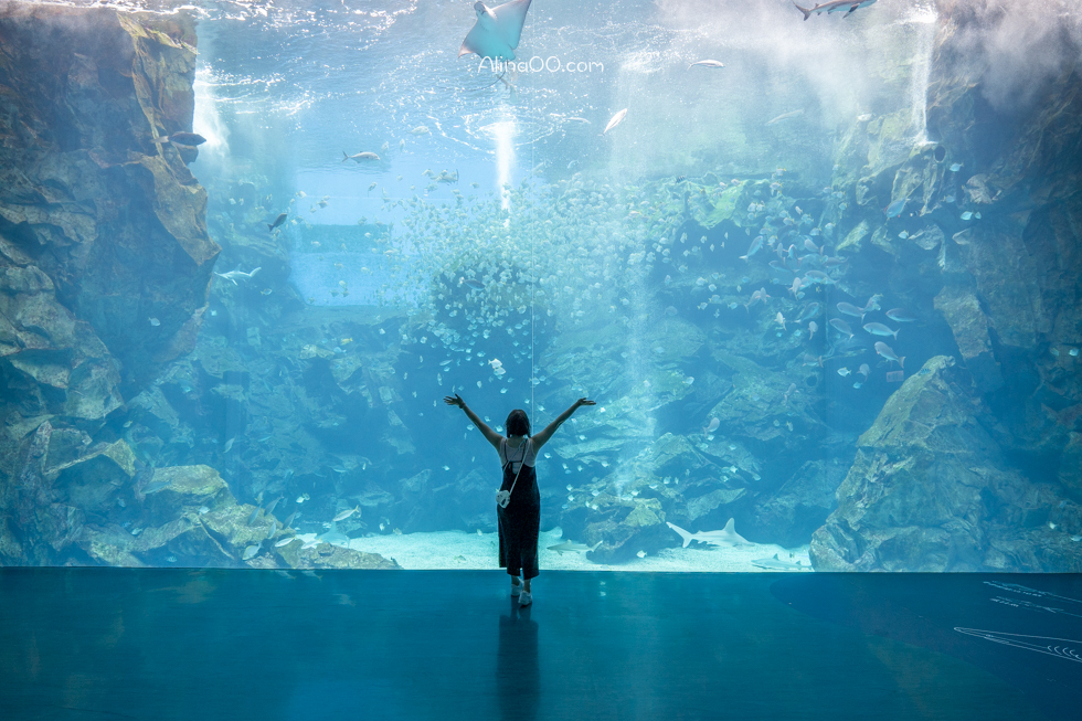 【桃園景點】XPARK水族館/13展區導覽/購票優惠/表演時間全攻略