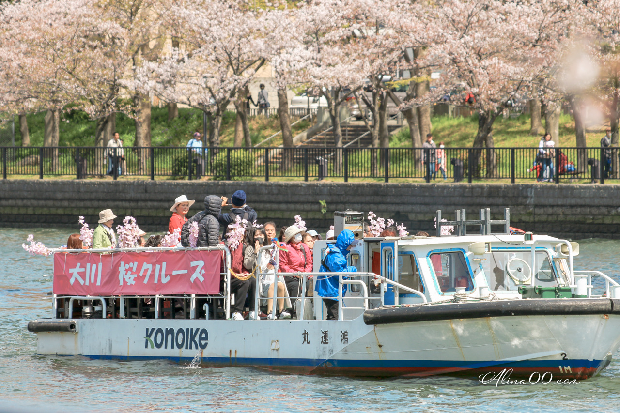 大川櫻花遊覽船