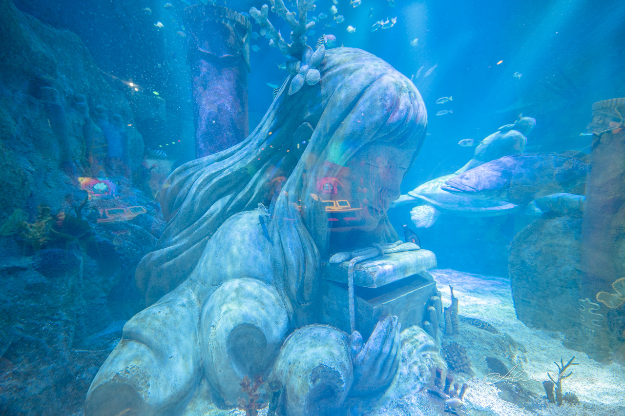 【名古屋景點】SEA LIFE 名古屋水族館｜小巧可愛的樂高海底世界