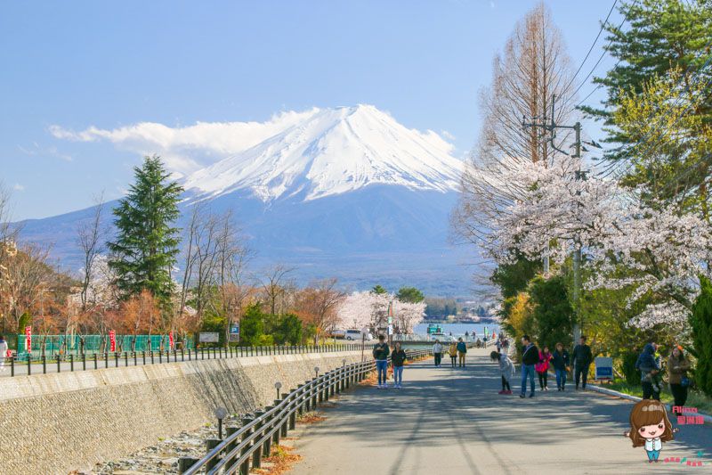 日本富士山山中湖