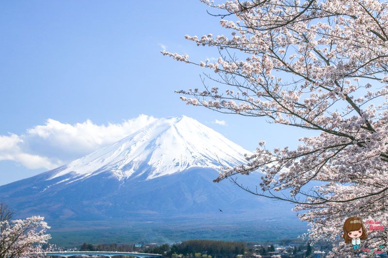 【東京近郊一日遊】小田原城 箱根海盜船 富士山河口湖賞櫻-東京出發輕鬆玩