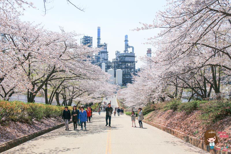 SK石油化學櫻花園